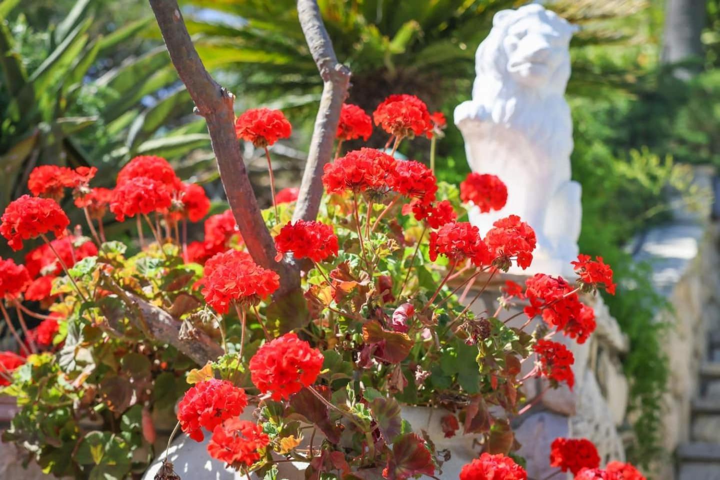 Nature Focused Villa Designed For Wellness Fallbrook Luaran gambar