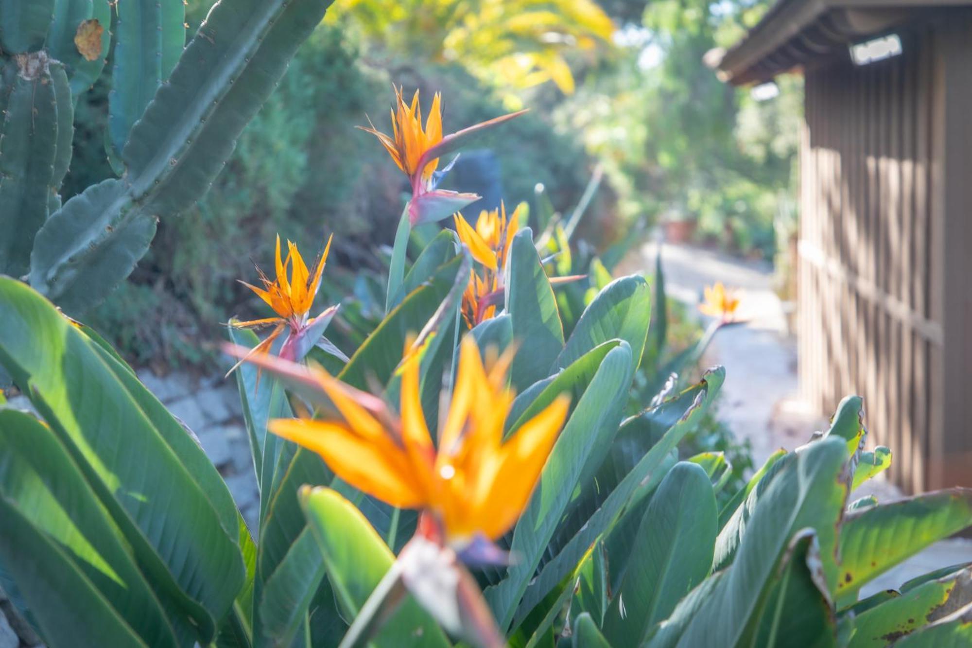 Nature Focused Villa Designed For Wellness Fallbrook Luaran gambar